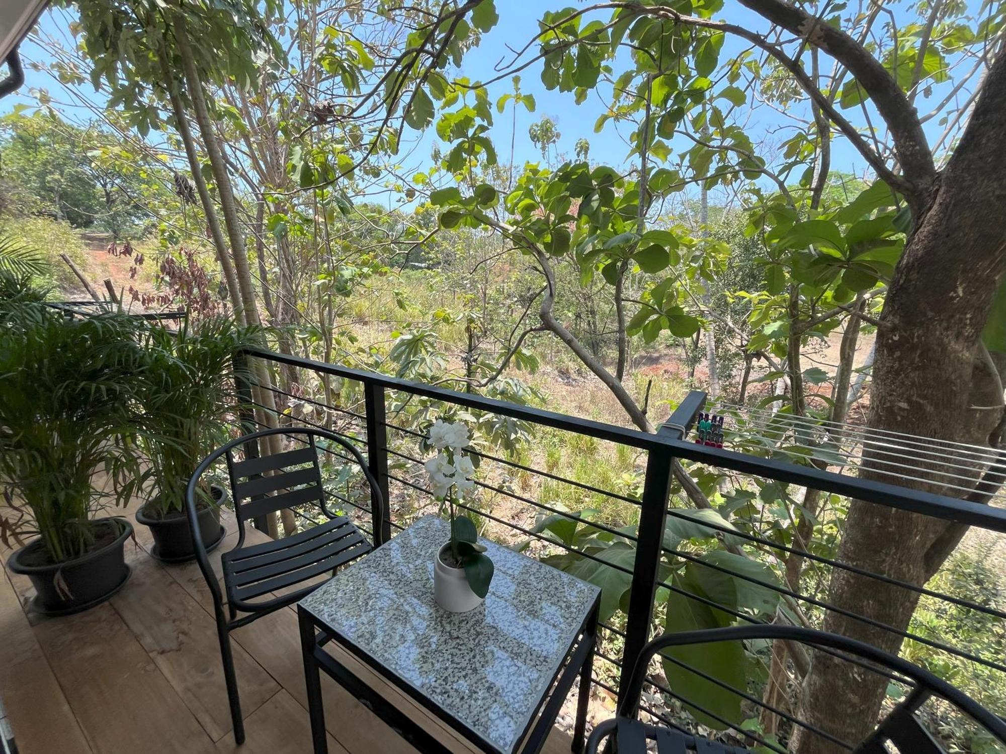 Bed and Breakfast La Jungla Puerto Carrillo Exterior foto